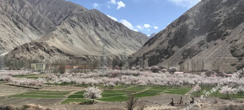 杏花沟民宿图片