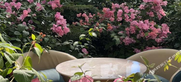 普兰平措康桑富氧酒店图片