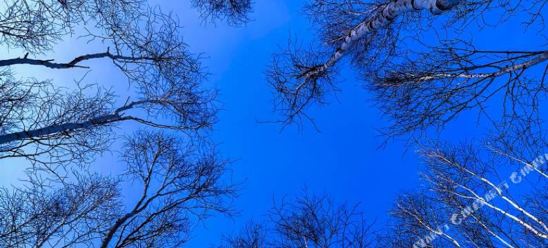 漠河韩家大院图片