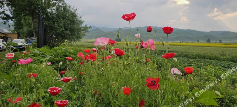 尼勒克微澜间民宿图片