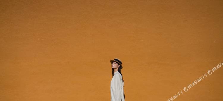 松潘藏王传奇度假酒店(黄龙九寨高铁站店 )图片