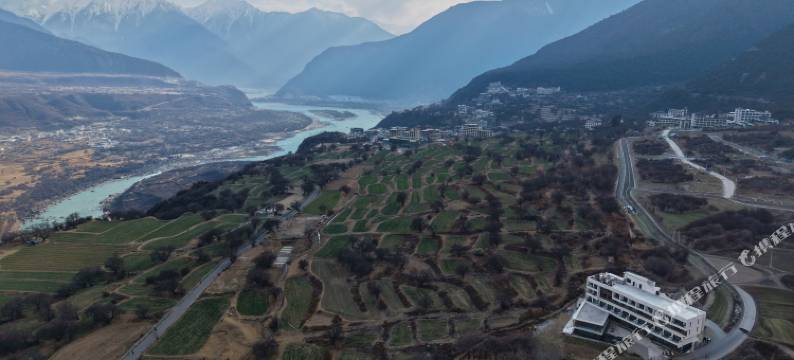 藏野(索松村店)图片