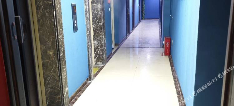 柏雅酒店(娄底店)图片