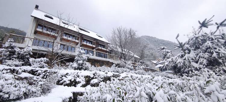 安吉迈岚·密藏山谷·漂游观星图片
