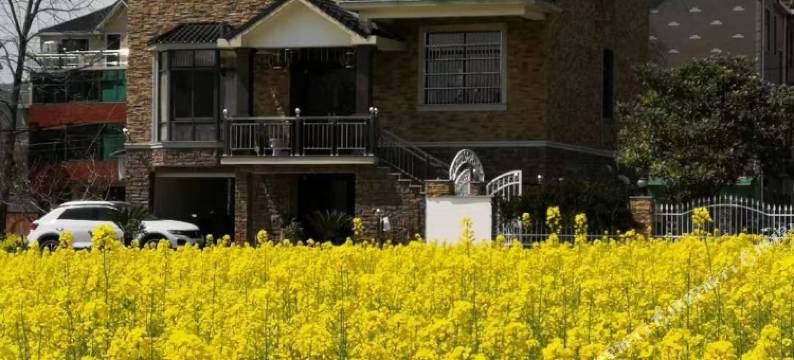 杭州富阳沚上花舍图片