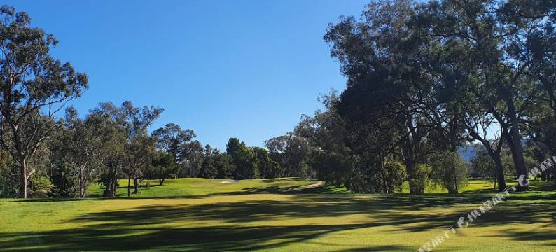 商业高尔夫度假村(Commercial Golf Resort)图片