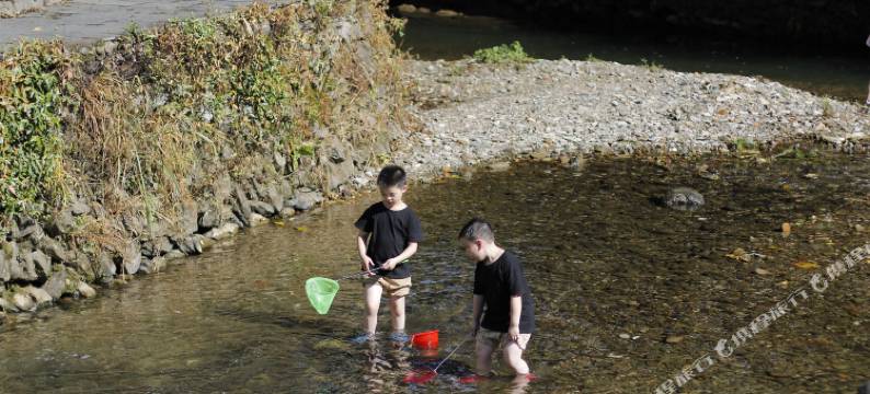芹川古村乡宿(浪川乡店)图片