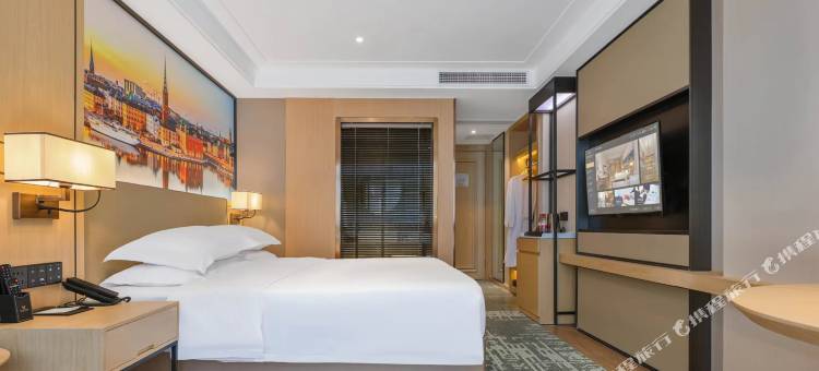 维也纳国际酒店(合肥中环城繁华大道地铁站店)图片