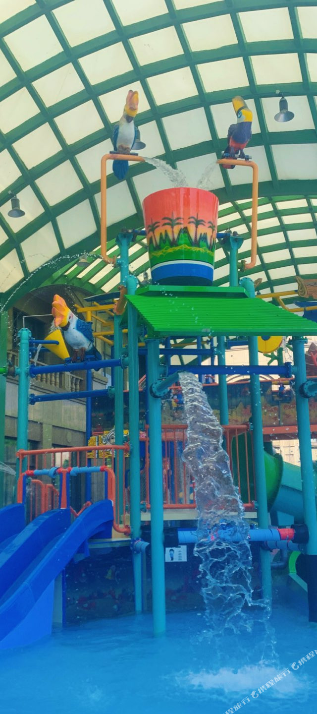 探店|上海南郊宾馆_撑着暑假带娃来住酒店,吸引我的就是这里的