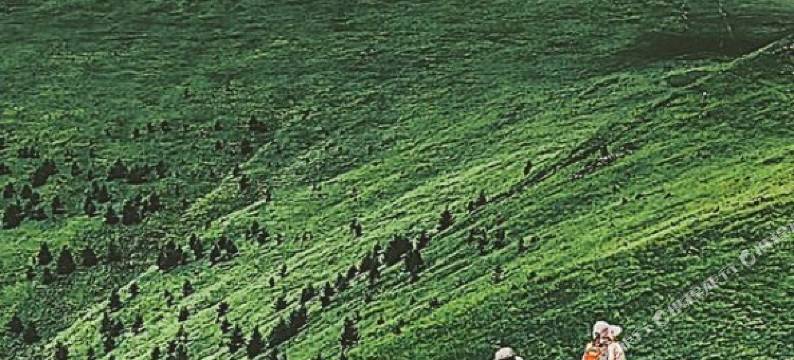 五台山新顺达宾馆(殊像寺店)图片