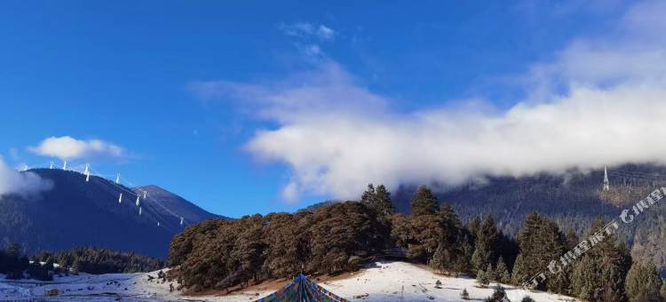 林芝擦贡康桑民宿(鲁朗高山牧场景区店)图片