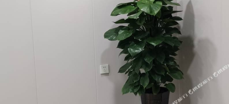 凯瑞商务宾馆(大连北站店)图片