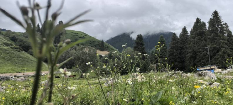 琼库什台山禾归宿图片