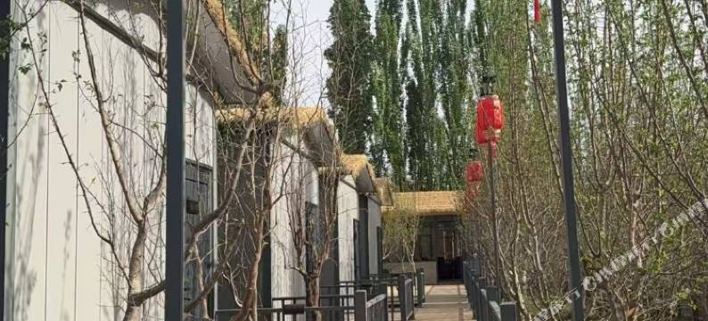 敦煌漠果小筑民宿(莫高窟数字中心店)图片