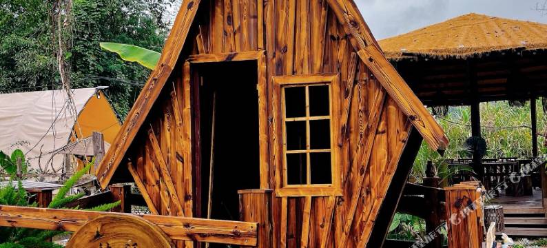 林语·露营(勐仑店)图片