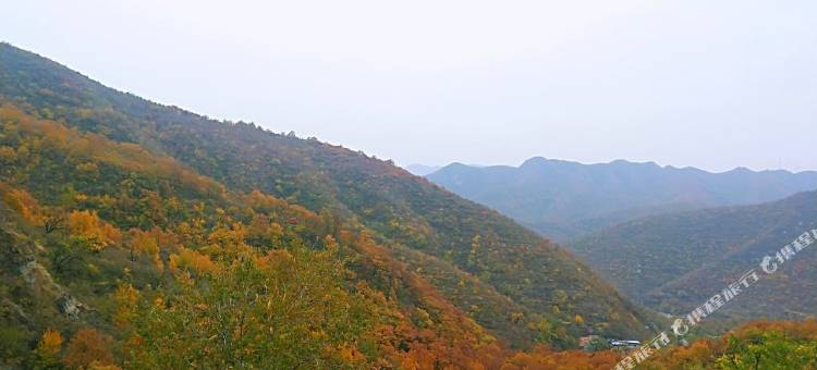 北京林夕织梦民宿(潭柘寺景区店)图片