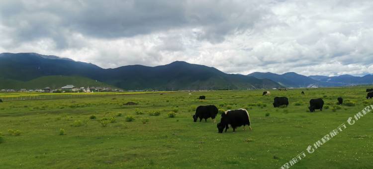 云之尚酒店(香格里拉客运站店)图片