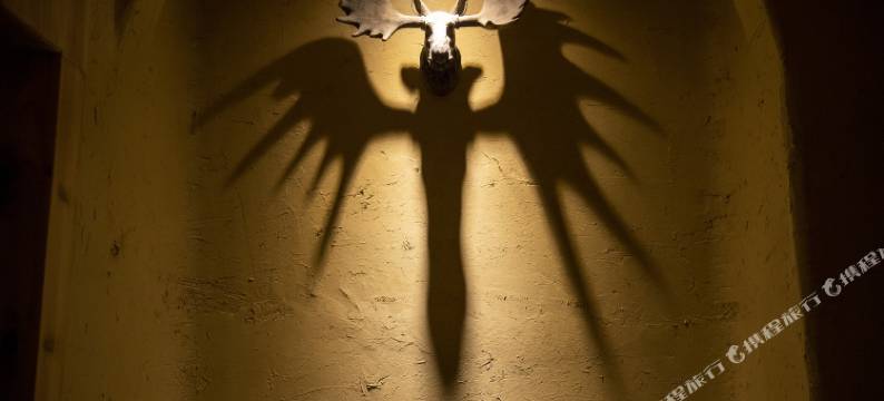 壹念起供氧民宿(领域店)图片