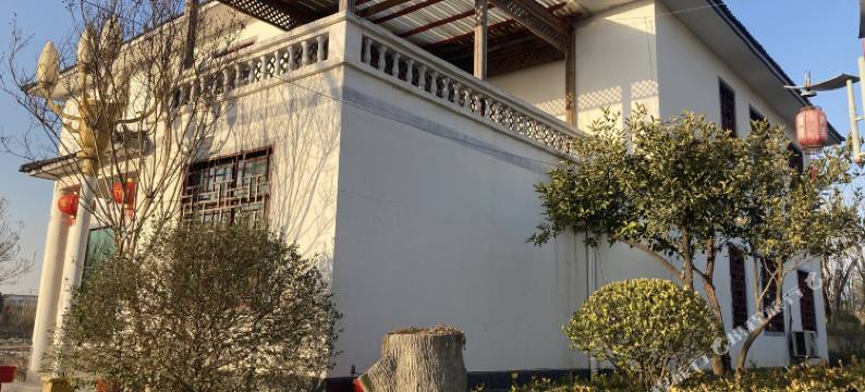 大唐生态观光园图片