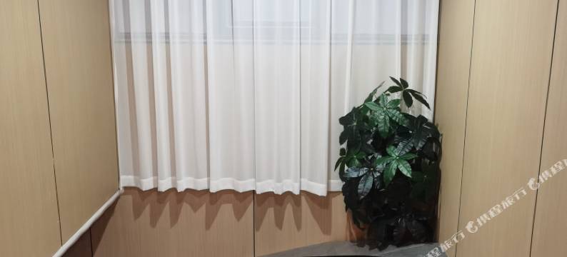 苍南县金福智慧宾馆图片