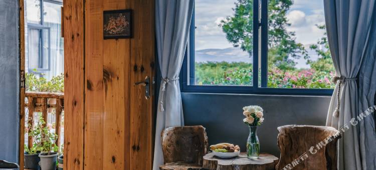 新新花园·多肉美宿家客栈(大理古城洱海店)图片