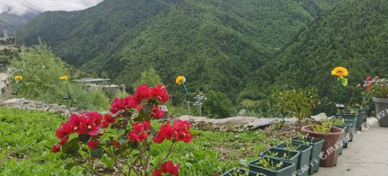 四姑娘栖心于谷民宿图片