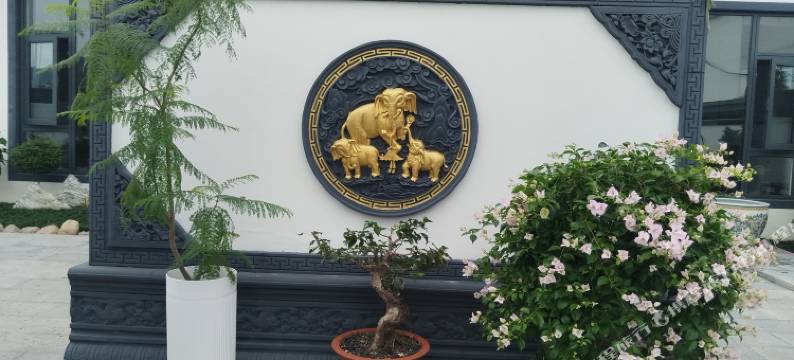 汤泉壹号民宿图片