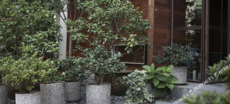 九间房(襄阳站人民广场店)图片