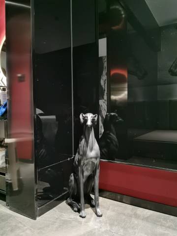 郴州谜图私定酒店(北湖公园步步高新天地店)图片