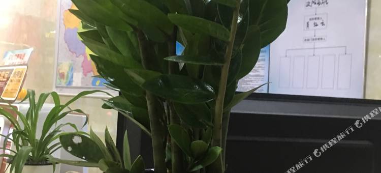 连州东陂油茶客栈图片