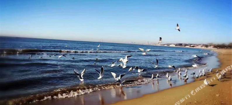 秦皇岛东韵旅馆图片