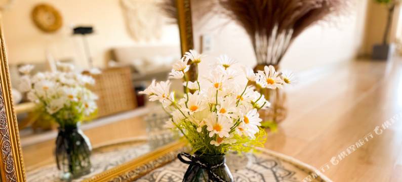 天津媛甄品·Life轻奢城市观景生活美学美宿(洪湖里地铁站店)图片