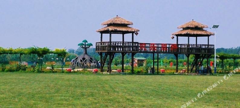 梁山禾颐乡居图片