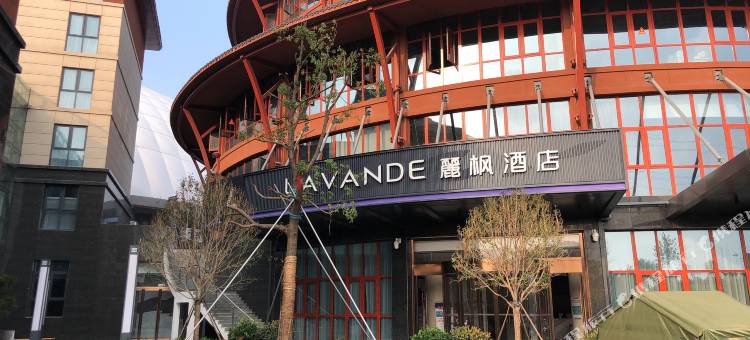 麗枫酒店(登封嵩山少林文旅服务中心店)图片