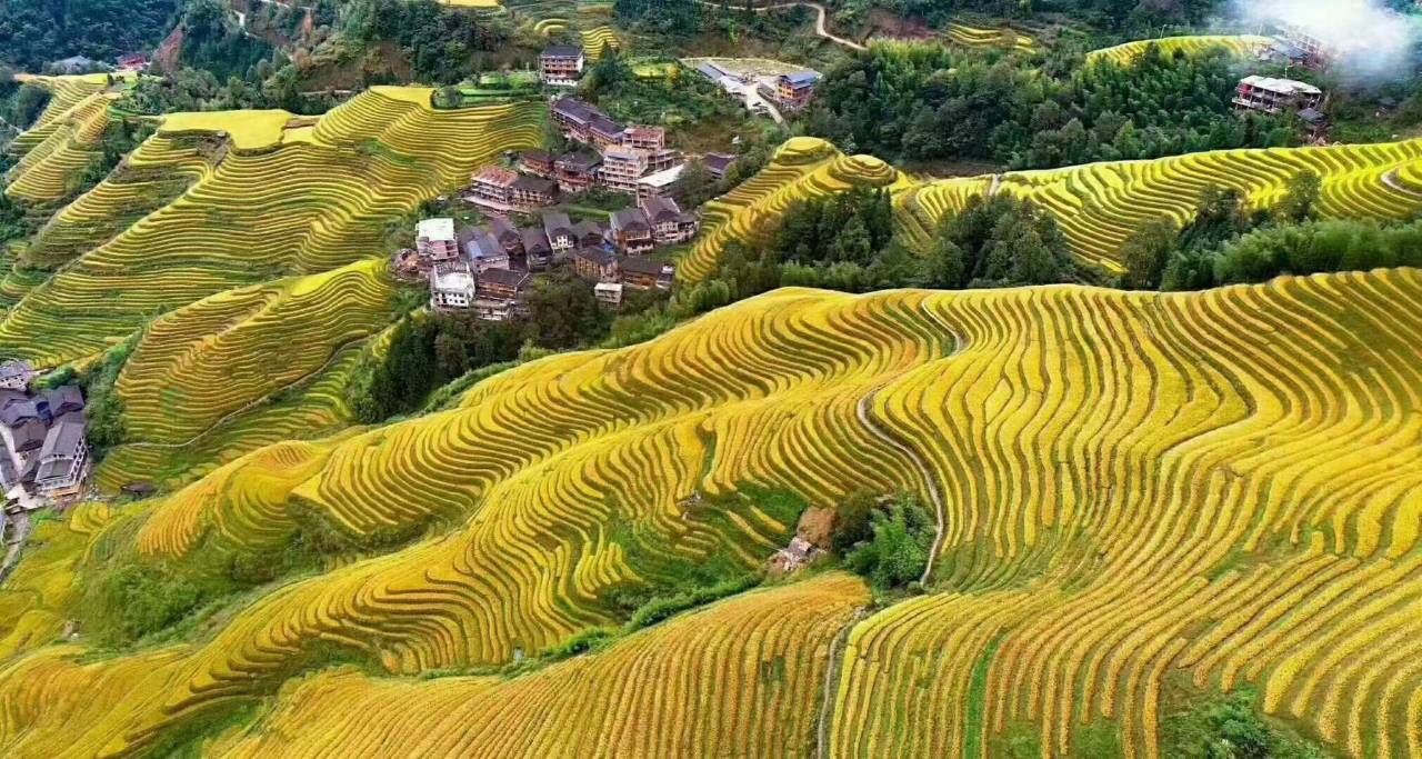 云希尚旅拍观景民宿(龙脊梯田千层天梯观景台店)图片