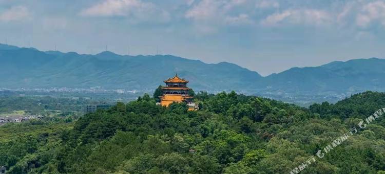 维也纳酒店(平南中心广场店)图片