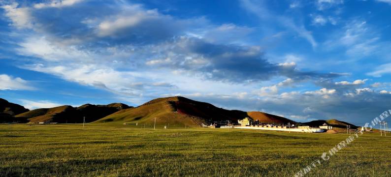 青海湖鸟岛牧人家帐房宾馆图片
