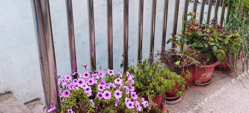 南顺鑫旅馆图片