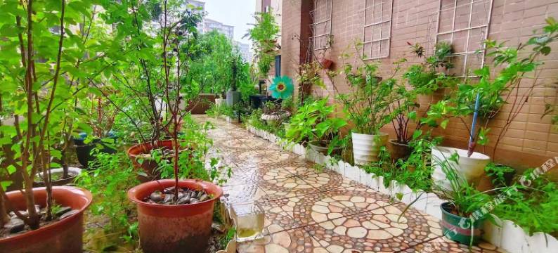 皮皮民宿(恩施碧桂园天樾店)图片