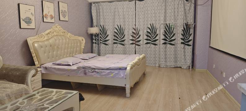 沈阳丽娜主题公寓图片