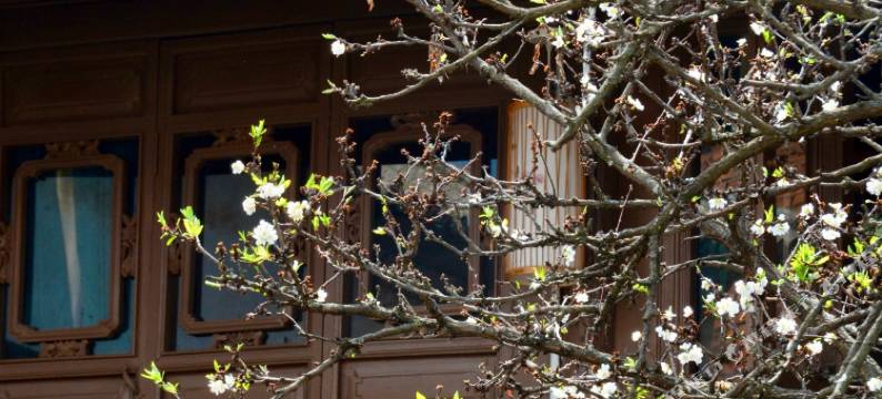 巍山古城若隅北院民宿图片