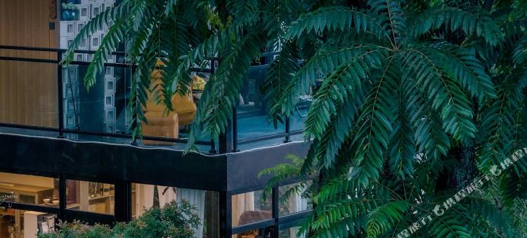 保山望月轩山景民宿(百花岭店)图片