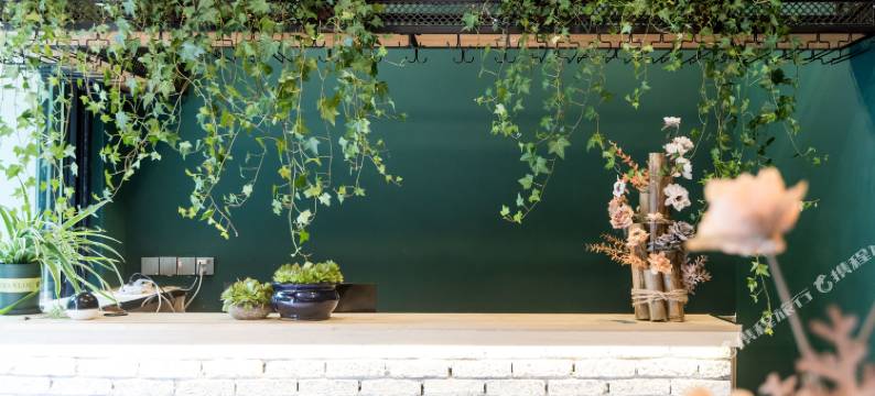 山舍·神农架民宿(木鱼镇店)图片