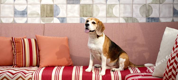 维维多拉金普顿酒店(Kimpton Vividora Hotel)图片