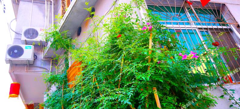 云和云七随云民宿图片