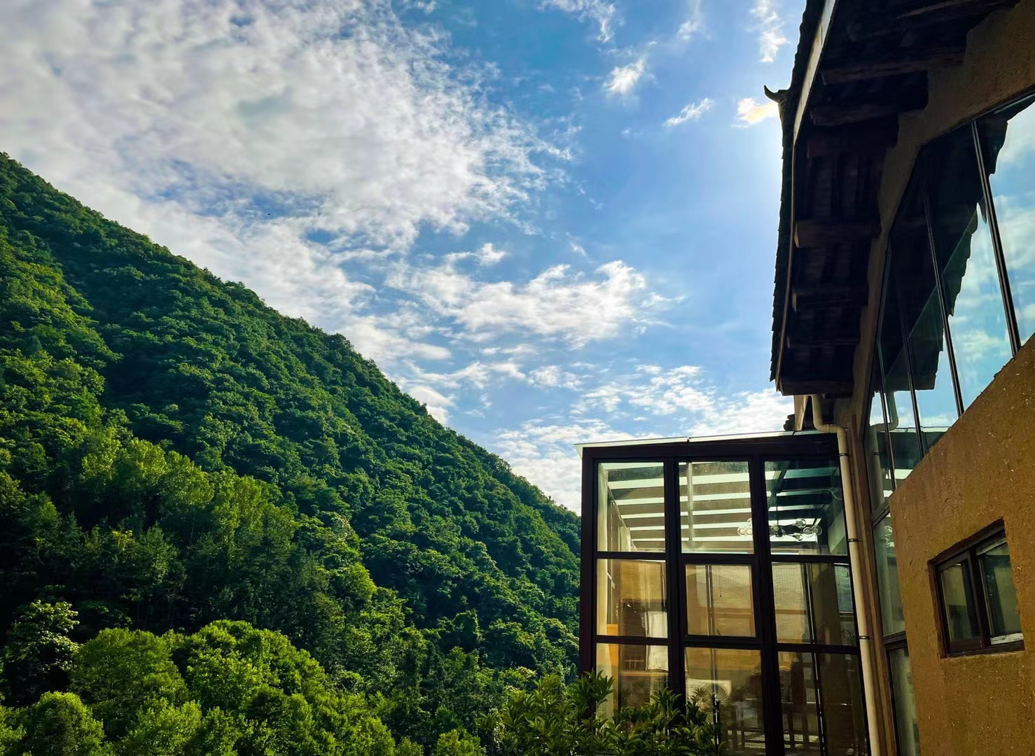 Group 3, Yinchanggou Village, Xichahe Town, Foping County, Shaanxi Province, ChinaOver view