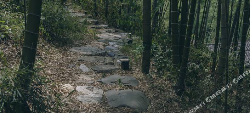 查济竹里晓山·幽篁草堂民宿图片