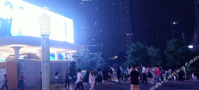 重庆郁金香宾馆图片