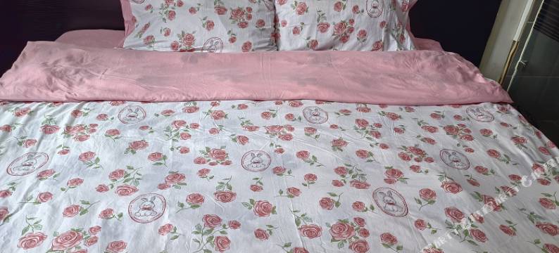 沈阳珍珠旅馆图片