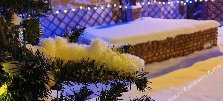 雪谷秘境・李姐温泉・ins设计师雪乡极简度假美宿(中国雪谷景区店)图片